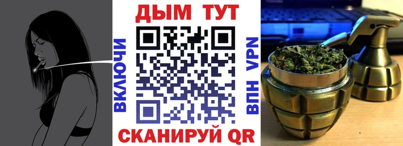 Бошки марихуана THC 21%  Купить где  Гаджиево 